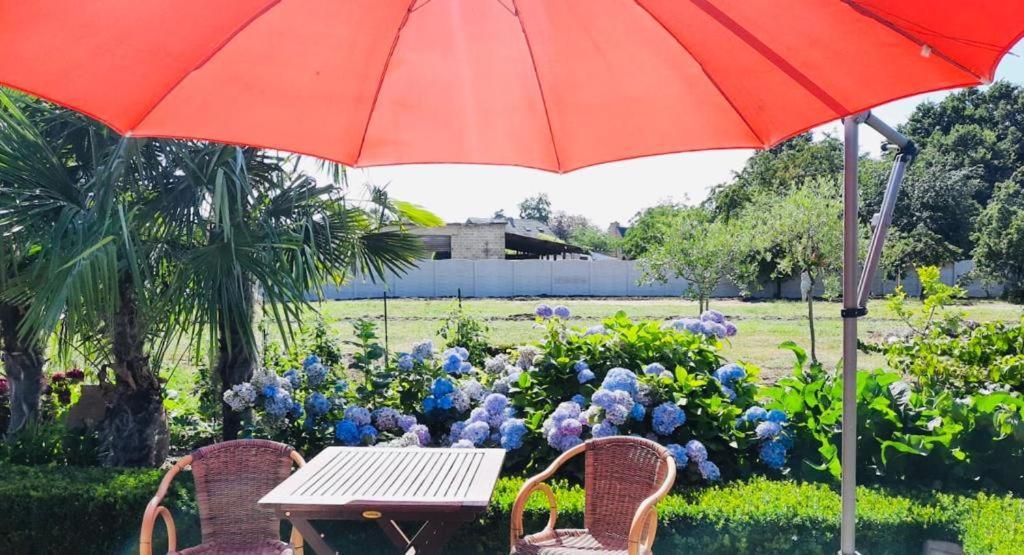 B&B Casa Roman & Vakantiewoning Voor 1 Pers Tot Max 32 Personen Zonhoven Екстер'єр фото