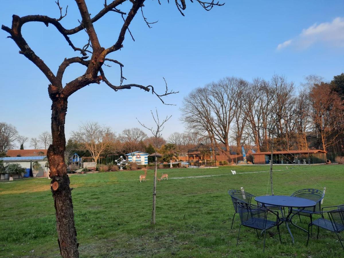 B&B Casa Roman & Vakantiewoning Voor 1 Pers Tot Max 32 Personen Zonhoven Екстер'єр фото
